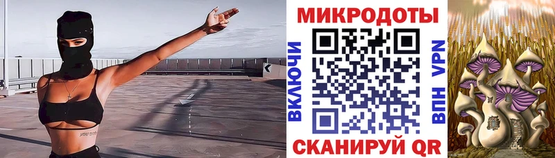 Псилоцибиновые грибы ЛСД  Купить  Вязники 